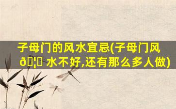 子母门的风水宜忌(子母门风 🦍 水不好,还有那么多人做)